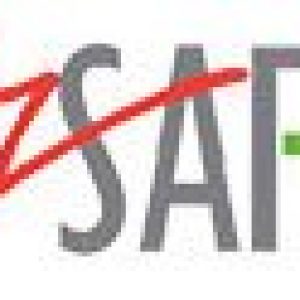 Biz Safe Icon